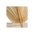 Hoja De Palma Seca, Forma De Corazón Tropical Natural Beige