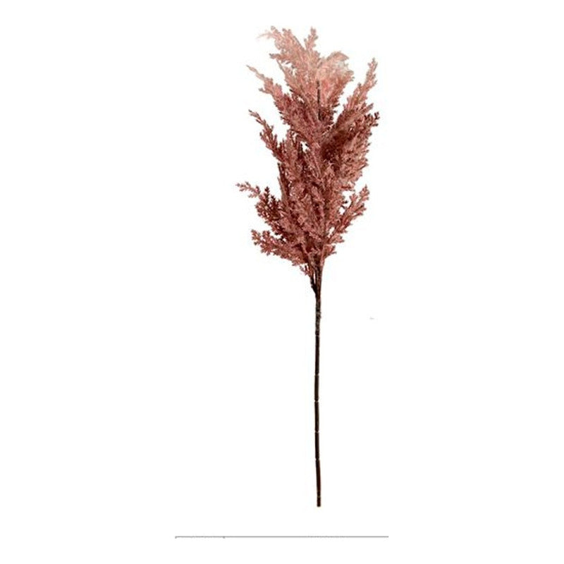 Rama Pampas Grass Spray Astilbe Emivery Artificial Esponjosa