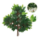 Pack De 12 Hojas Ramas Artificial Verde Follaje Ficus Arbol Verde