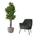 Lyrata Ficus Planta Artificial Flor Decoracion Arbol 1 8 0 M Verde Oscuro