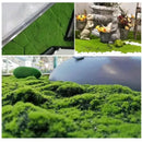 Musgo Artificial Degradado Verde Intenso De 1mt X 1mt Decoración Jardines Verticales Terrarios Cuadros Vegetales Paisajismo Interior Diseño Biofílico Manualidades Premium