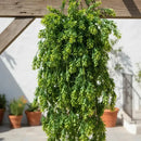 Planta Colgante Artificial Trepadora Decoración Inter O Exte Verde