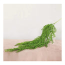 Rama Follaje De Hojas Laurel Colgante Artificial Frondosa Verde