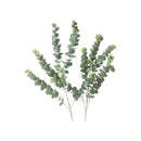 Flor Eucalipto Artificial, Vara Frondosa Larga Y Grande 88cm