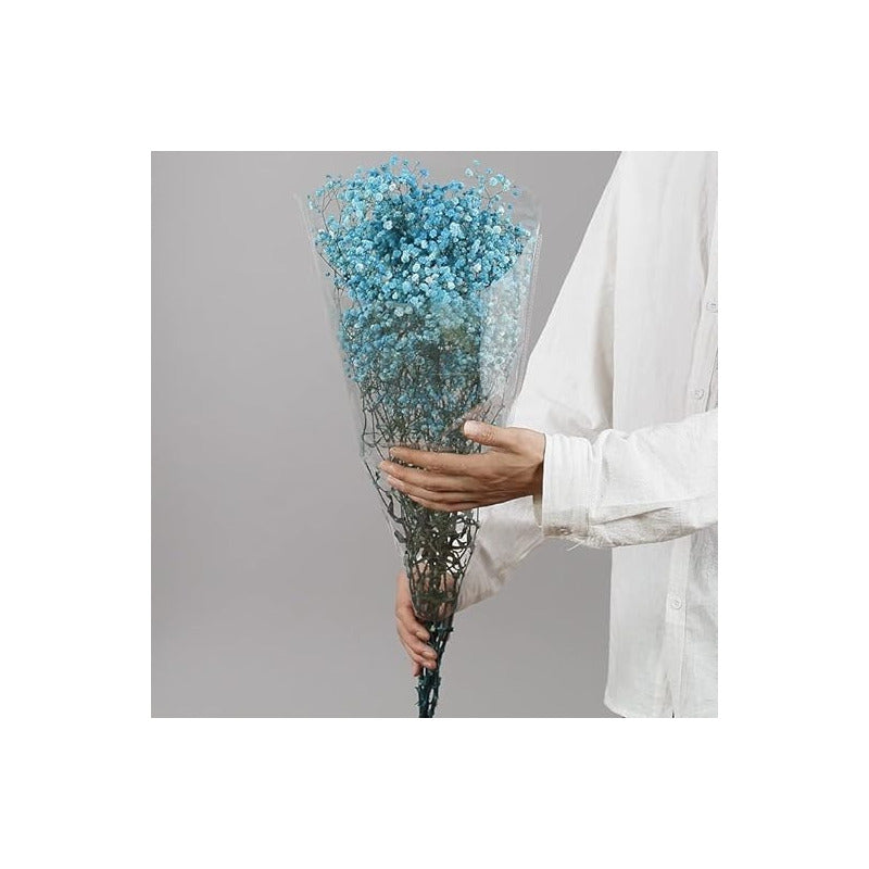 Flores Ramas Secas Natural Decorativa, Gypsophila Frondosa