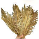 Pack 4 Hoja De Palma Seca, Rama De Sago Cicas Onila Hojas Beige
