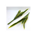 Flores Artificiales Sansevieria Lengua De Suegra Decoración  Verde