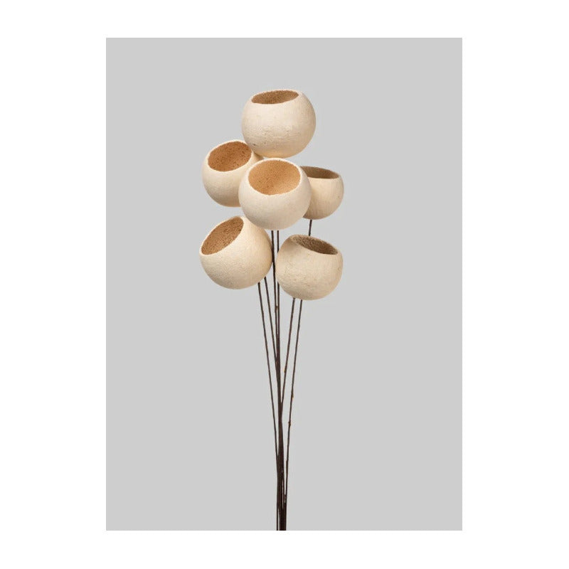 Bell Cup Flor Ornamental Decoracion Boho Flores Campana Seca