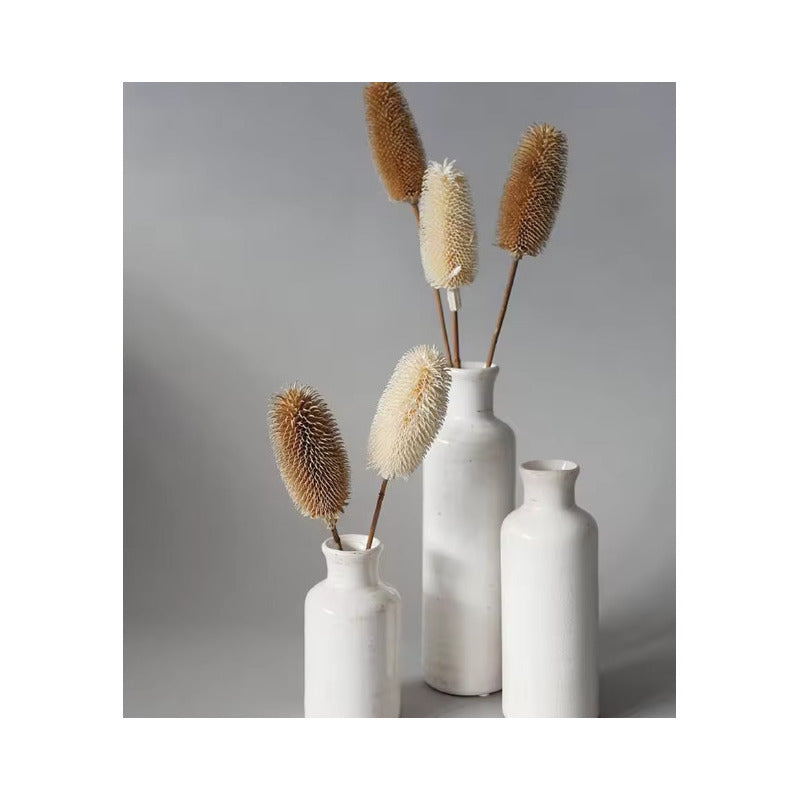 Cepillo De Botella Natural Flor Seca Banksia Dipsacus Boho
