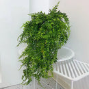 5 Plantas Artificiales Boston Fern Colgantes De Vides Falsas Color Verde