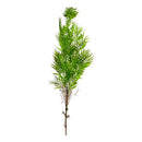Palmera Artificial Colgante Verde 90cm Eco & Deco Follaje Decorativo