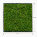 Musgo Decorativo Artificial 50x50 Cm Panel Vegetal Para Jardines Verticales Muros Verdes Decoración Interior Cuadros Vegetales Paisajismo Hogar Oficina Fácil Instalación Bajo Mantenimiento