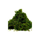 Musgo Artificial Para Manualidades Eco & Deco  100g De Decoración Versátil