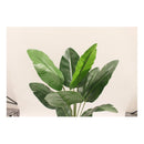 Palma De Viajero Artificial Ecodeco Verde Oscuro 120cm Decoración Interior