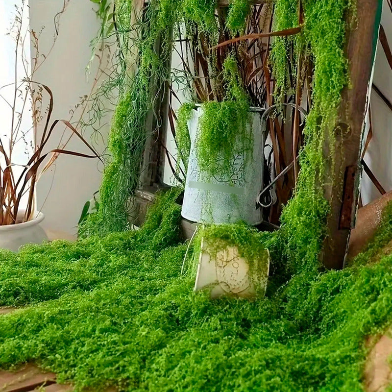 Musgo Artificial De Plantas Verde Musgo Sintético 1mt X 1mt