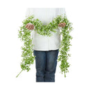Enredaderas Ilusiones Gypsophila Paniculata 180mt Aliento Bb