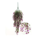 Eco & Deco Hiedra Violeta