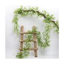 Enredaderas Ilusiones Gypsophila Paniculata 180mt Aliento Bb