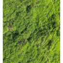 Musgo Artificial Degradado Verde Intenso De 1mt X 1mt Decoración Jardines Verticales Terrarios Cuadros Vegetales Paisajismo Interior Diseño Biofílico Manualidades Premium