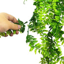 5 Plantas Artificiales Boston Fern Colgantes De Vides Falsas Color Verde