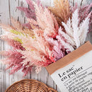 Rama Pampas Grass Spray Astilbe Emivery Artificial Esponjosa