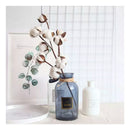 Pack 10 Tallos Algodón Seco Flores Decorativas Cotton Blanco Blanco