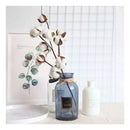 Tallos De Algodón Seco Flores Decorativas Cotton Blanco Deco
