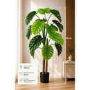 Arbol Monstera Grande Realista Frondosa Artificial 1 8. 0 M Verde