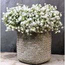 Ilusiones Gypsophila Baby Breath Artificiales Little Bunch