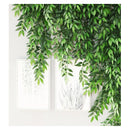 Rama Follaje De Hojas Laurel Colgante Artificial Frondosa Verde
