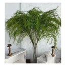 Hierba De Esparragos Artificial Ornamental Realista Planta Verde