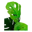 Plantas Artificiales Monstera Decoración Hogar Verde