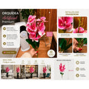 Ecd-01 Ecodeco Orquídea Ramo Rosa