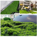 Musgo Artificial 3d Decorativo Verde Premium 1mt X 1mt Ideal Para Jardines Verticales Terrarios Paisajismo Cuadros Vegetales Decoración Interior Manualidades