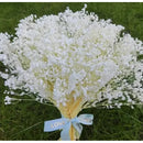 Flores Secas Blancas Aliento De Bebe Ilusiones Gypsophila Blanco