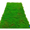 Musgo Decorativo Artificial 50x50 Cm Panel Vegetal Para Jardines Verticales Muros Verdes Decoración Interior Cuadros Vegetales Paisajismo Hogar Oficina Fácil Instalación Bajo Mantenimiento