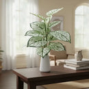 Flores Caladium Artificiales Decoración Planta Artificial Verde