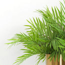 Palmera Artificial Colgante Verde 90cm Eco & Deco Follaje Decorativo