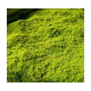 Musgo Artificial Degradado Verde Intenso De 1mt X 1mt Decoración Jardines Verticales Terrarios Cuadros Vegetales Paisajismo Interior Diseño Biofílico Manualidades Premium
