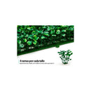 Malla Treboles Vallas Cercas Pasto Planta Enredadera Hojas  Verde