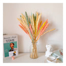 Ramas Secas Oreja De Trigo Preservada Decoración Hogar
