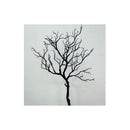 Ramas De Arbol Rama De Coral Seca Artificial Tallo Largo