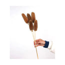 Cepillo De Botella Natural Flor Seca Banksia Dipsacus Boho
