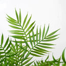 Ramas De Palma Artificiales De Follaje Helecho Rama Palmera Verde