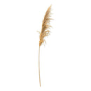 Piezas Rama De Pampas Grass Vara Grande Beige