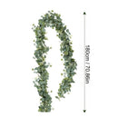 Guirnalda De Eucalipto Hojas Eucalipto Decoración Enredadera Verde