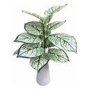 Flores Caladium Artificiales Decoración Planta Artificial Verde