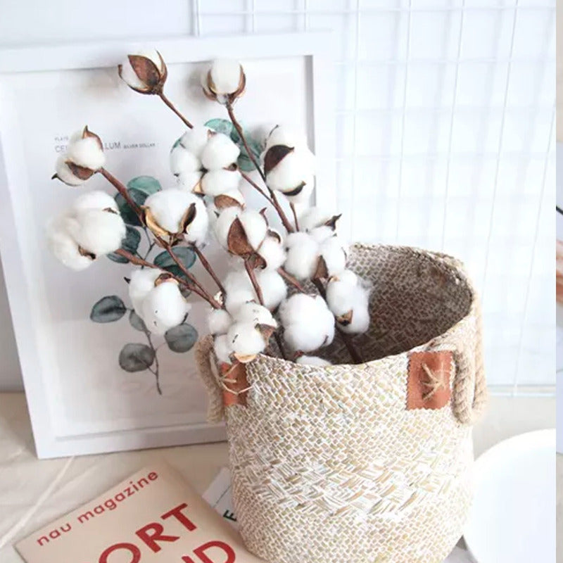 Tallos De Algodón Seco Flores Decorativas Cotton Blanco Deco