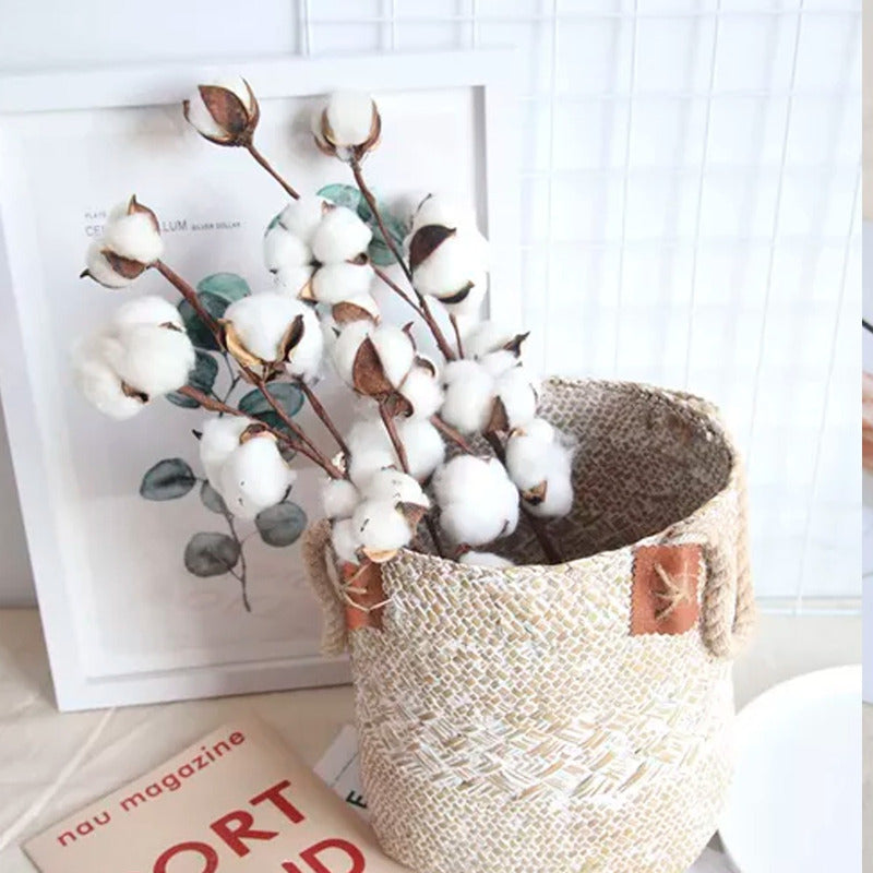 Tallos De Algodón Seco Flores Decorativas Cotton Blanco Deco