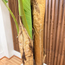 Artificial Banano Árbol Planta Arbusto 21 .0 C M Aspcto Real Verde